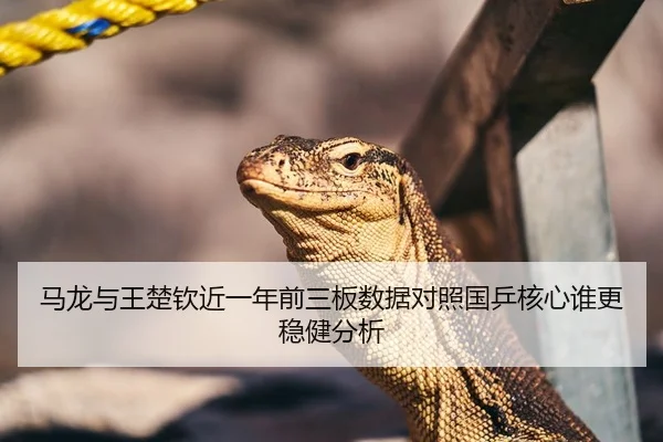 ma-long-yu-wang-chu-qin-jin-yi-nian-qian-san-ban-shu-ju-dui-zhao-guo-ping-he-xin-shui-geng-wen-jian-fen-xi-1-824.jpg